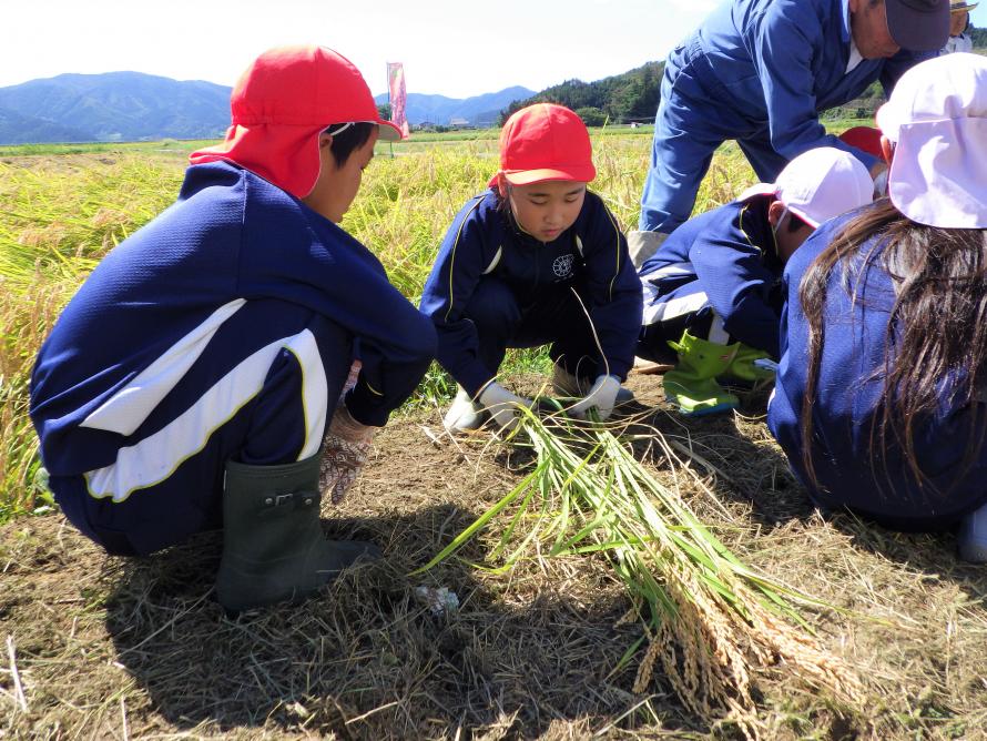 生育を確認する児童