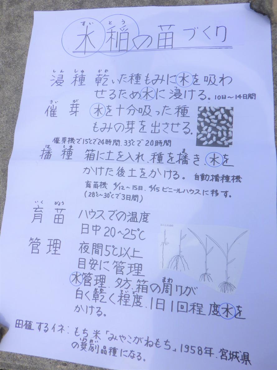 説明資料