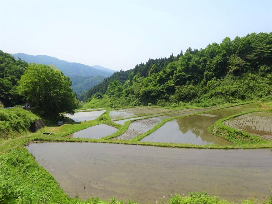 大張沢尻棚田全景