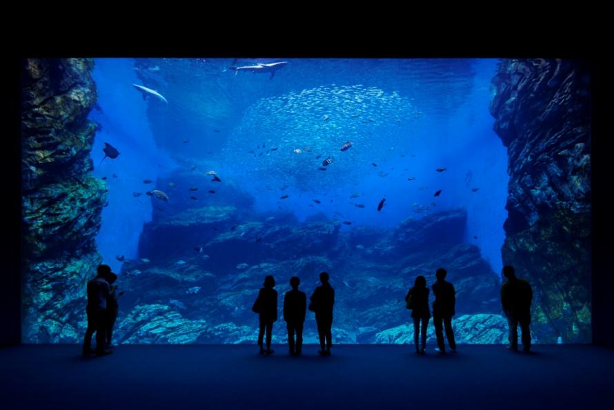 仙台うみの杜水族館の写真