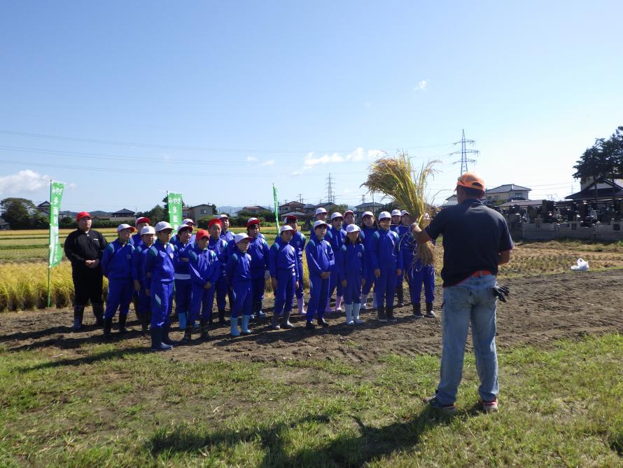 稲刈りの説明を受ける児童