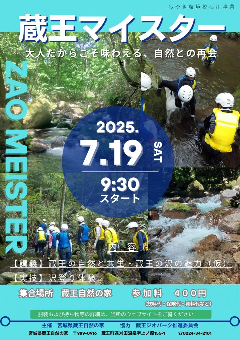 マイスターチラシ