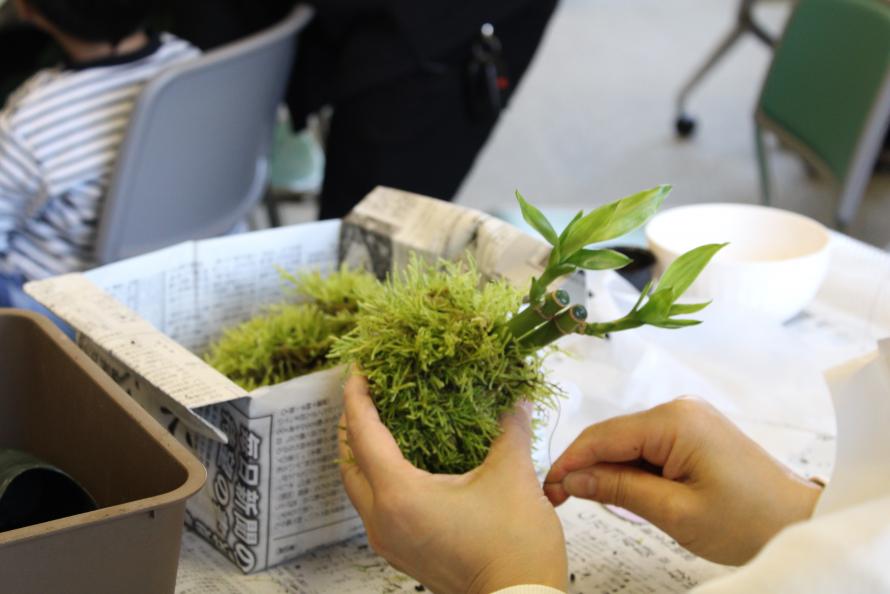 苔玉作製