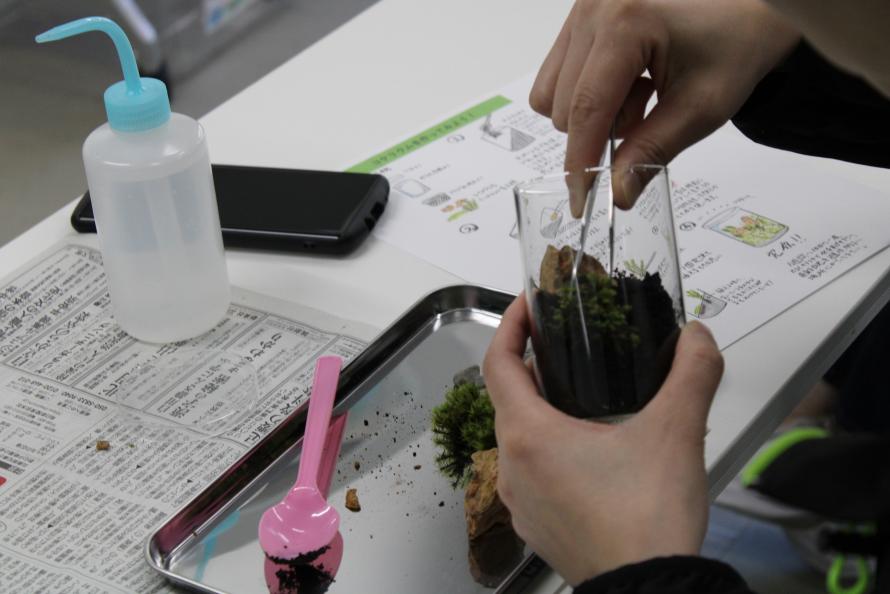 苔テラリウム作製体験