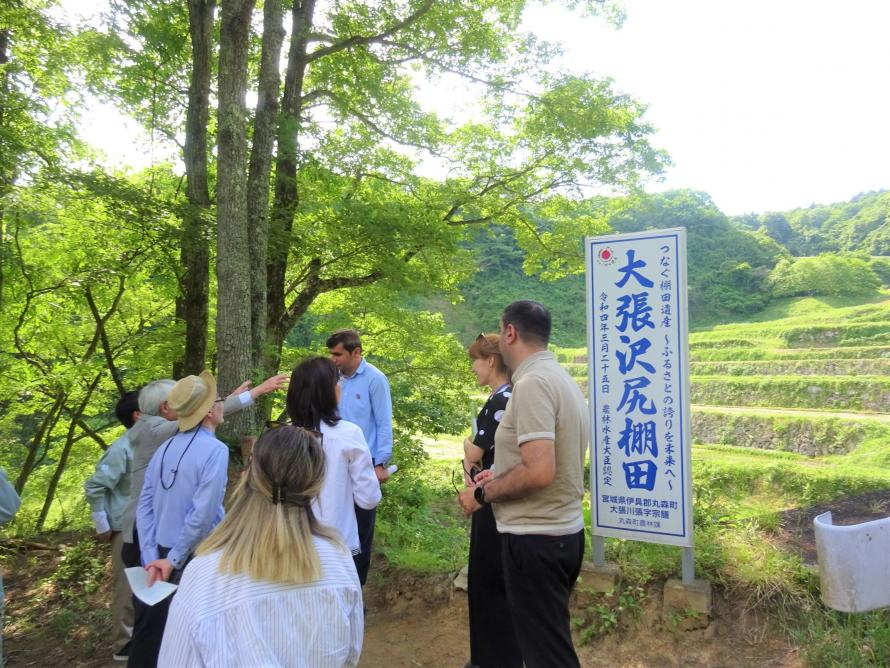 大張沢尻棚田での研修の様子