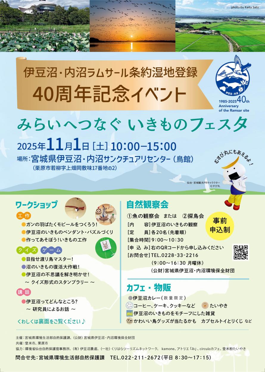 チラシ裏