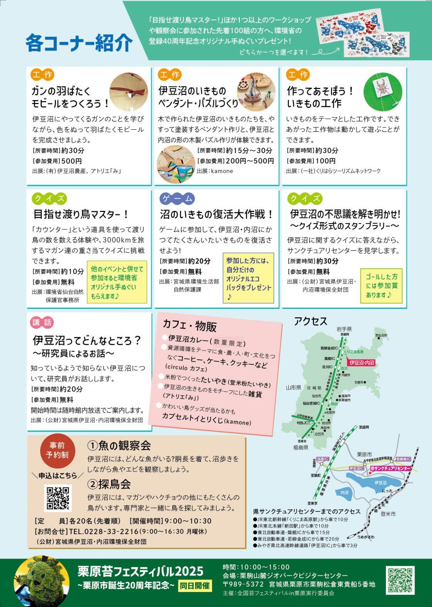 チラシ裏