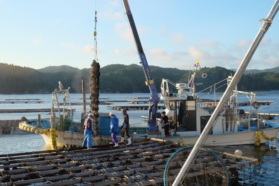 温湯