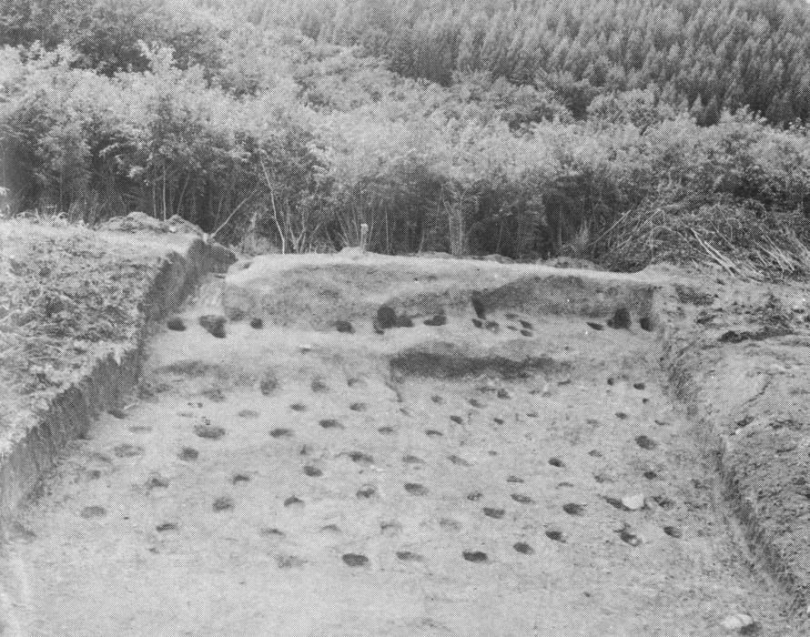 第17次調査区（東から）