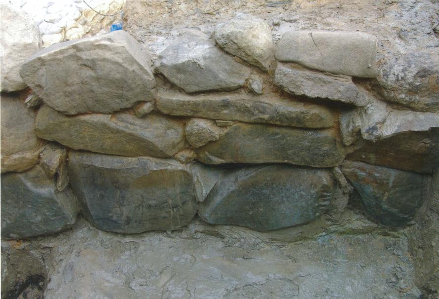 政庁南大路西側（第79次調査）