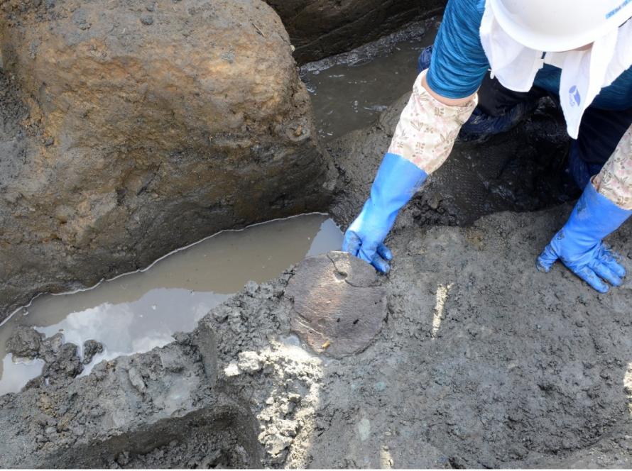 曲げ物出土風景2