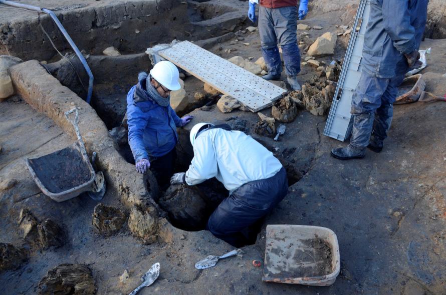 材取り上げ風景