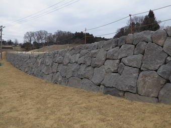 整備した石垣