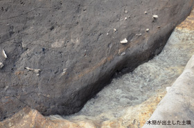 木簡が出土した土坑（最新の木簡1）