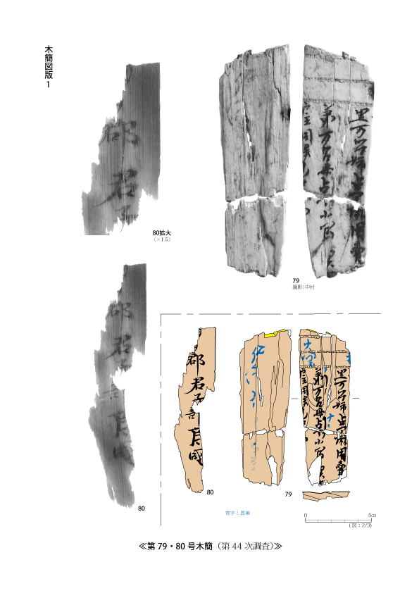 79・80号木簡（戸籍の抜き書き2）
