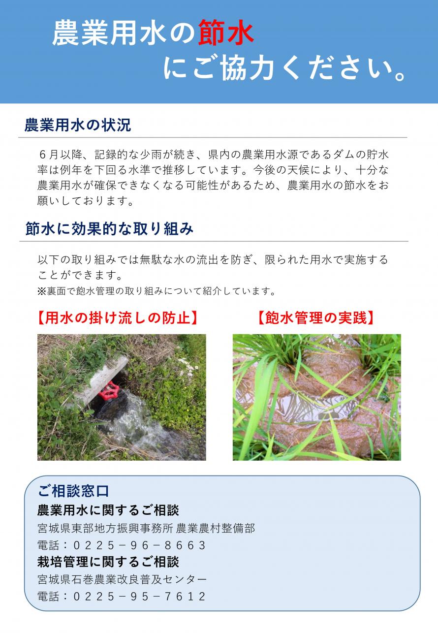 チラシ表面