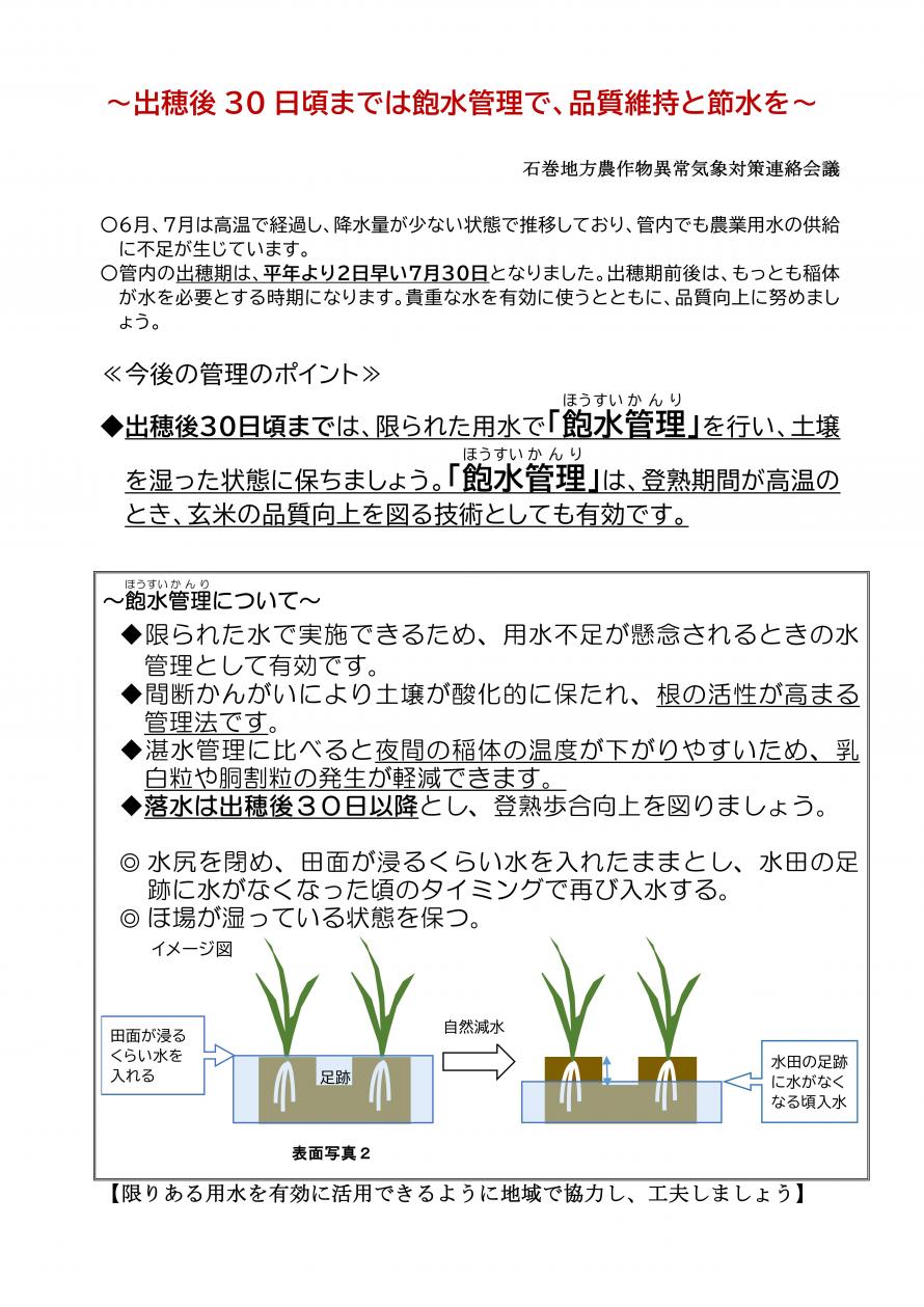 チラシ裏面