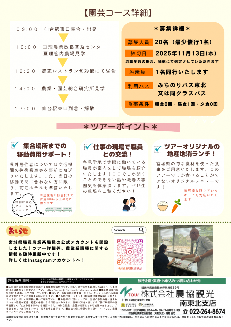 チラシ裏
