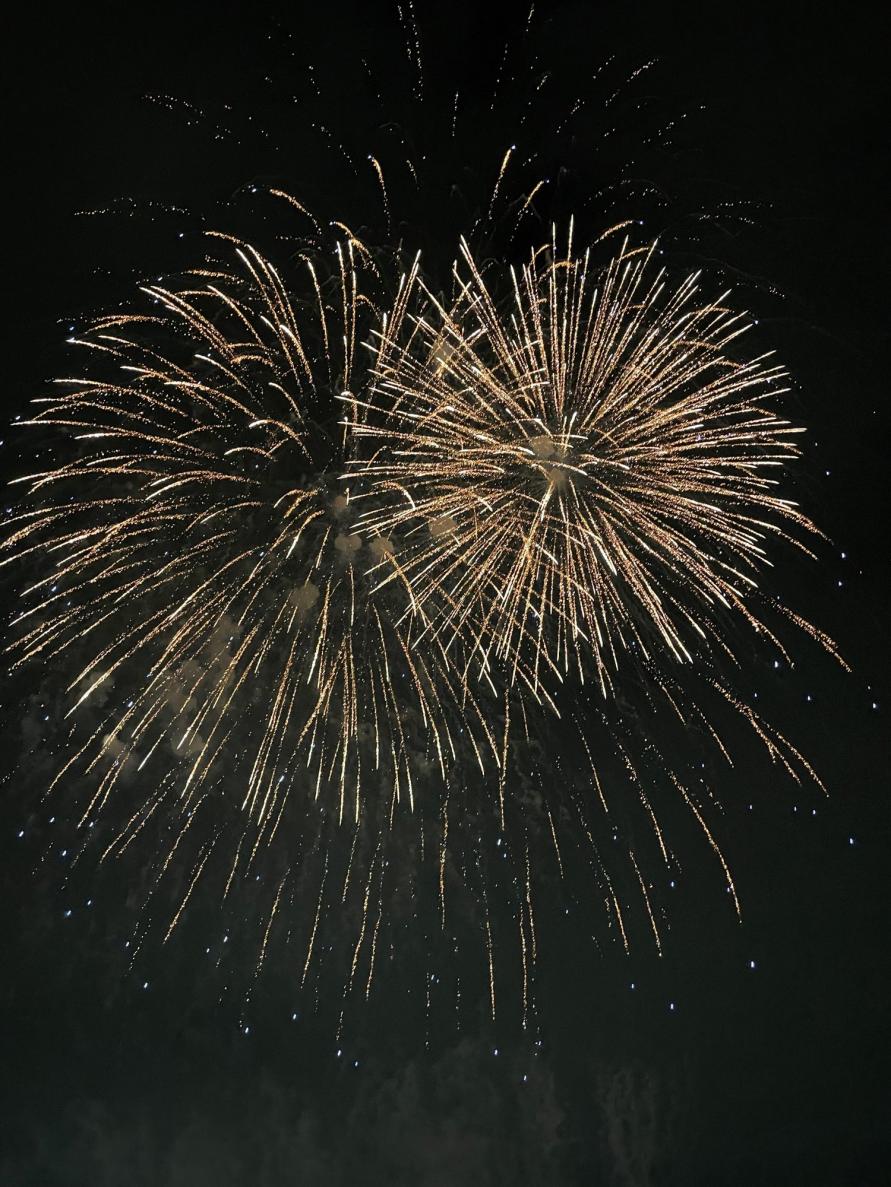 多賀城市 多賀城市民祭花火
