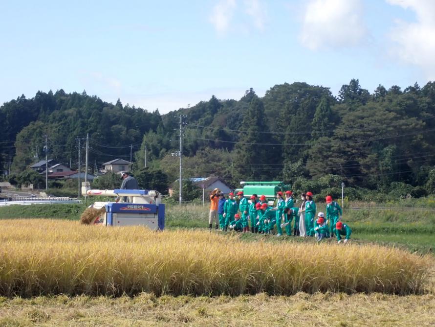 コンバインでの稲刈りを見学する様子の写真