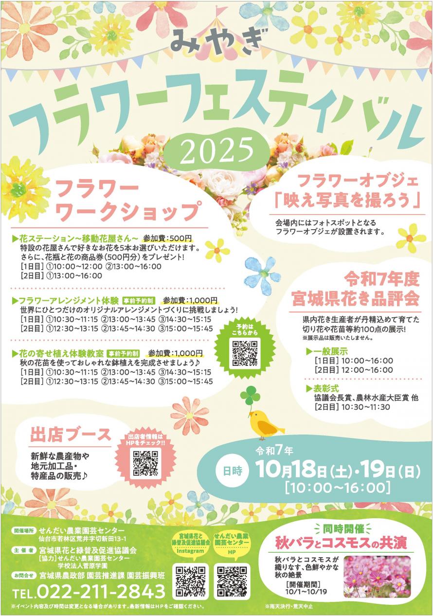 チラシ