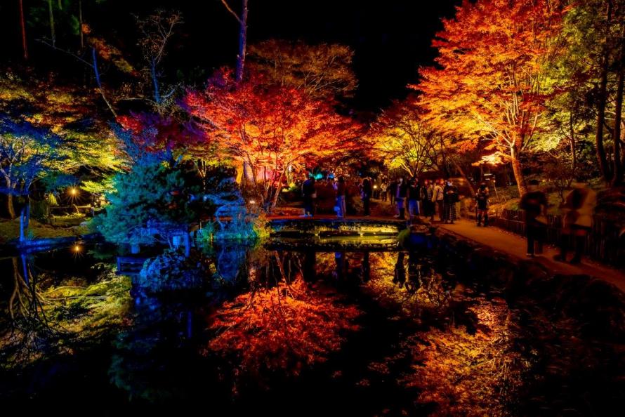 アキウルミナ2025