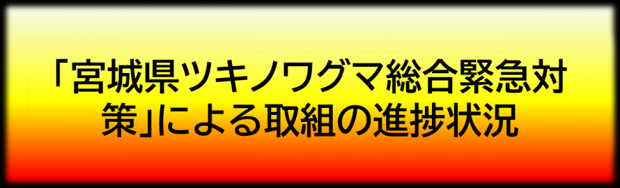 取組の進捗状況