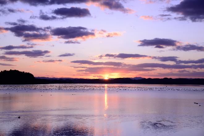 みやぎゆかりメイン
