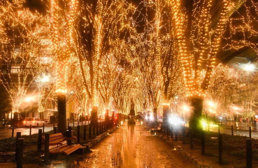 2025SENDAI光のページェント