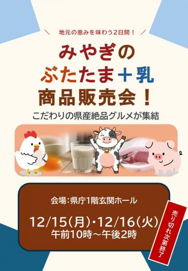 12月ぶたたま乳チラシ1