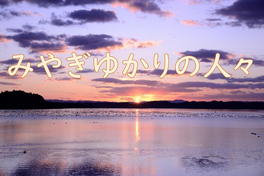 みやぎゆかりの人々バナー