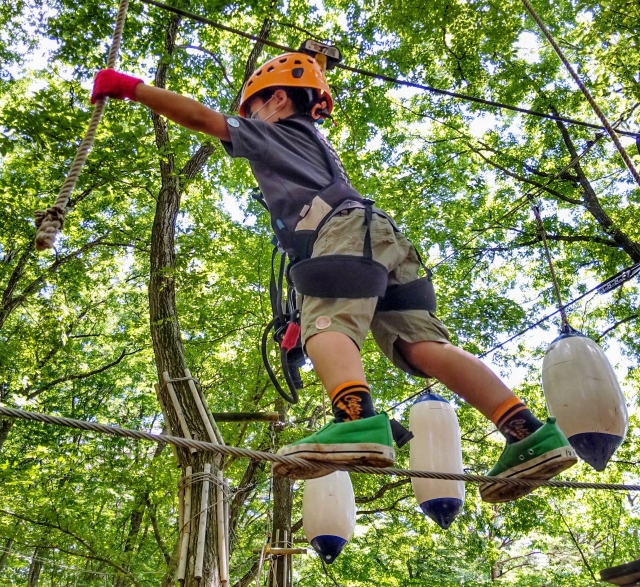 参加する、楽しむ