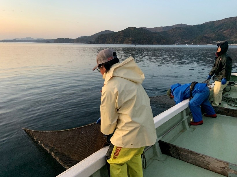 02komidashi3_1_R7ogatsunohaku