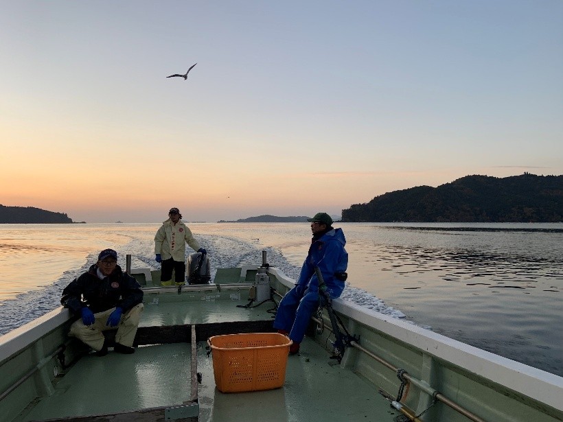 02komidashi3_2_R7ogatsunohaku