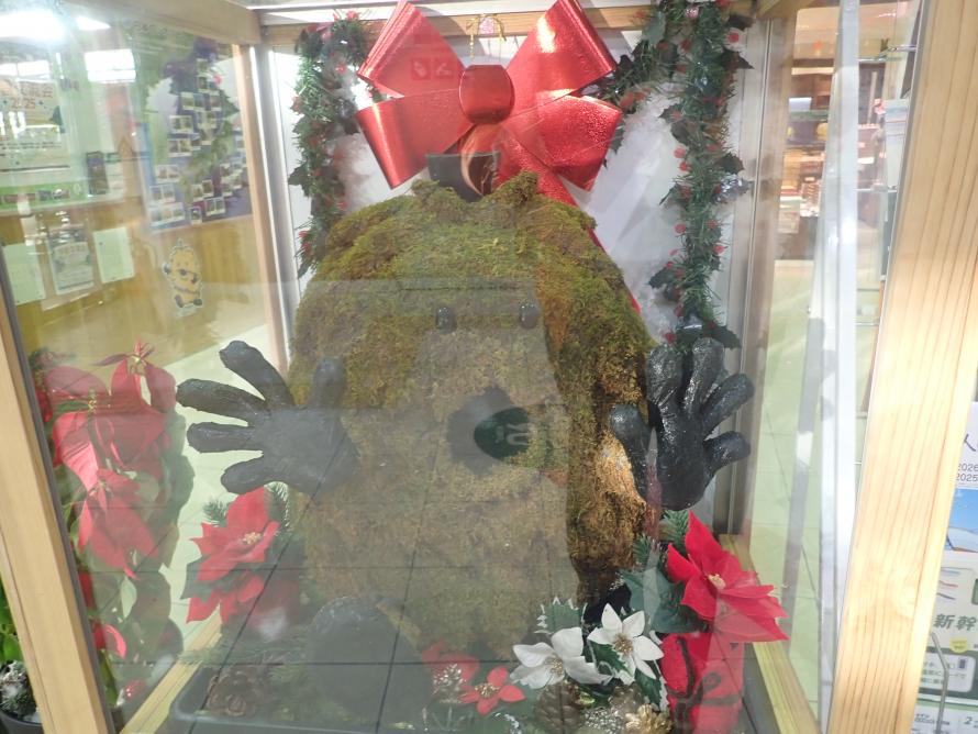 苔りほんにょ（大）