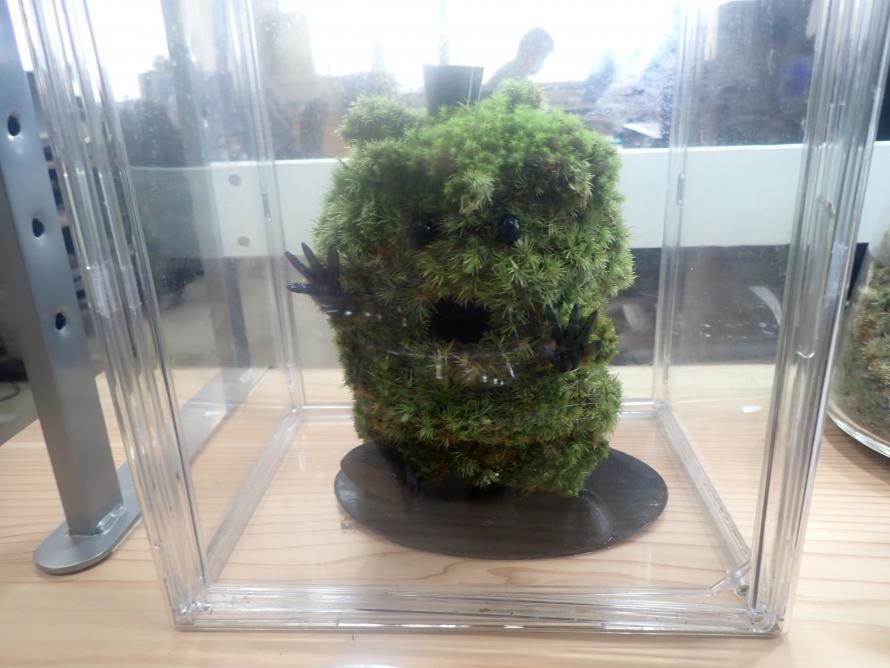 小苔りほんにょ