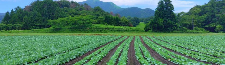 食品加工を委託したい生産者と受託可能な事業者が直接つながることができるマッチングサイトです