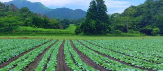 食品加工を委託したい生産者と受託可能な事業者が直接つながることができるマッチングサイトです