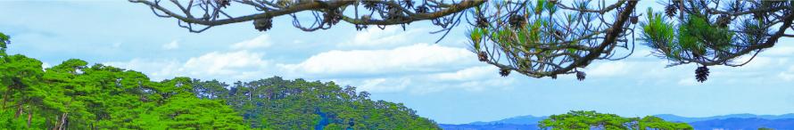 依頼したいOEM先地域一覧