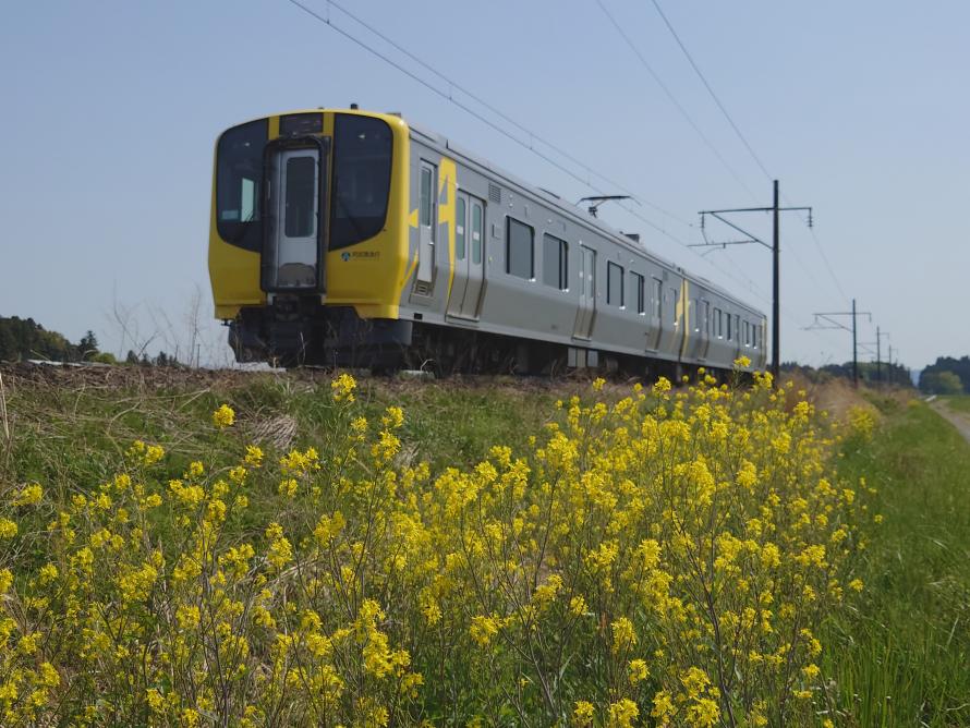 阿武隈急行写真