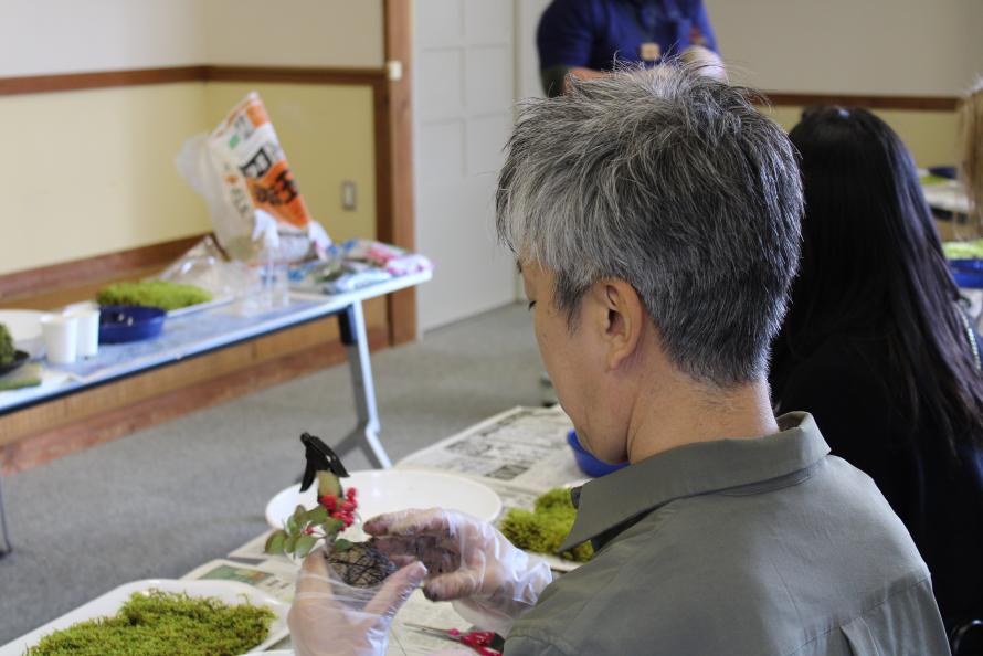 苔玉づくり