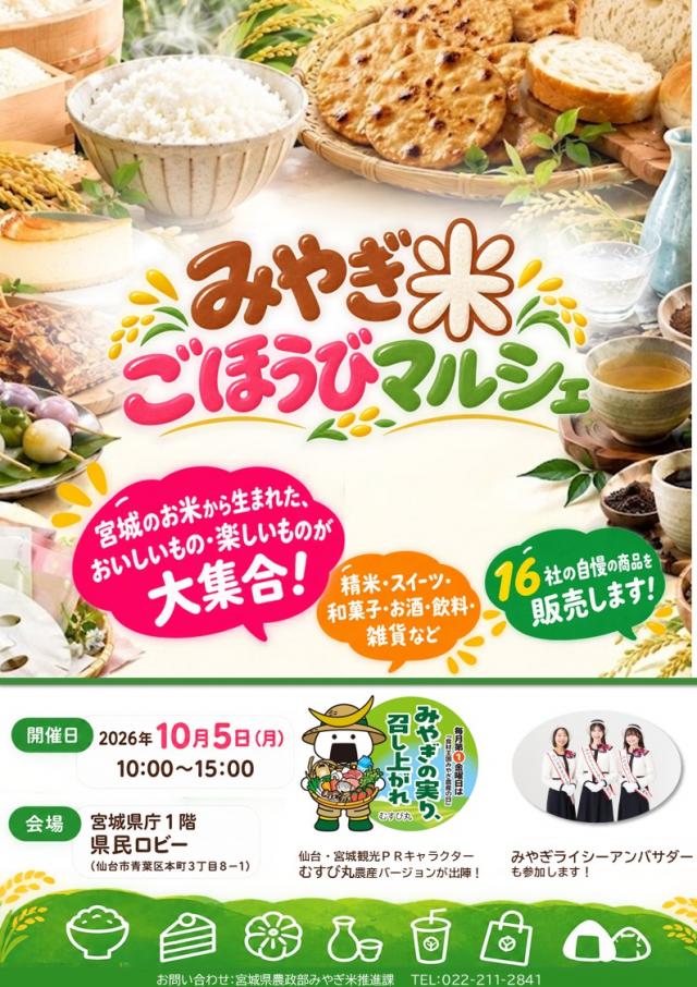 チラシ表