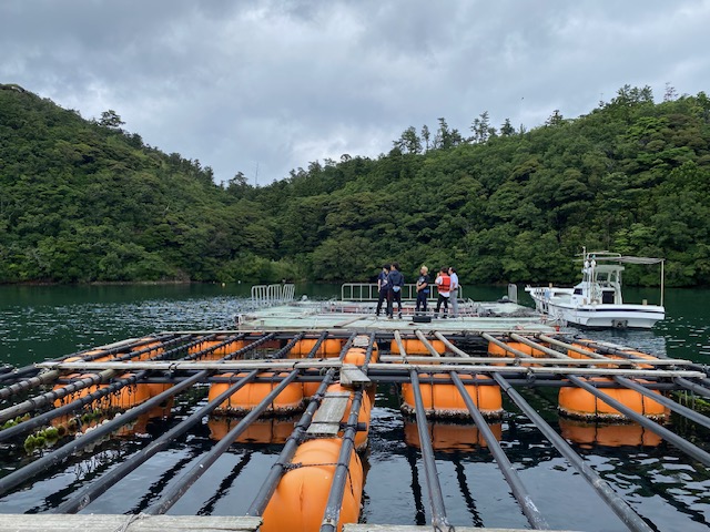島園視察