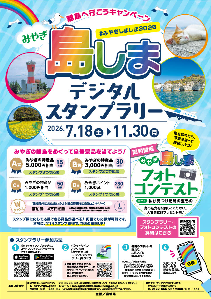 チラシ表