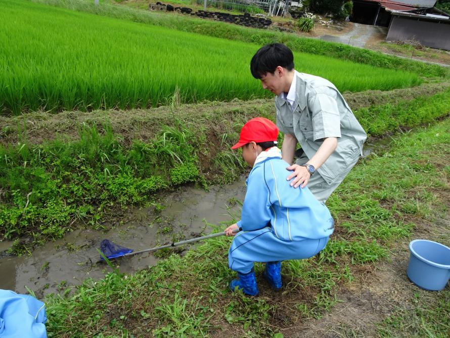 生き物調査の様子1