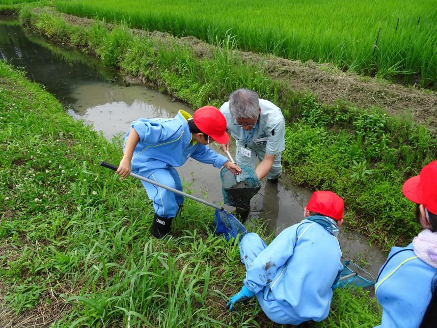 生き物調査の様子2