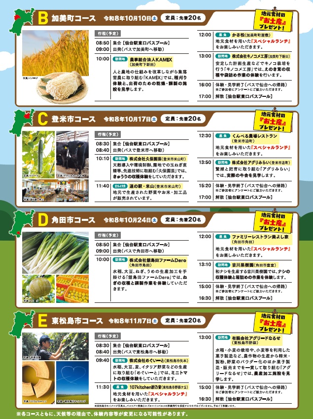 leaflet-back