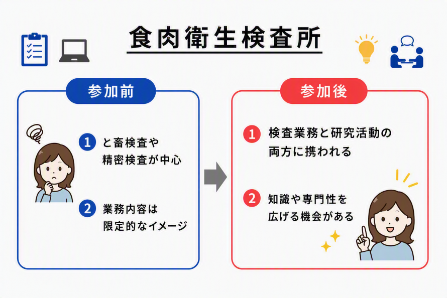 食肉衛生検査所の感想