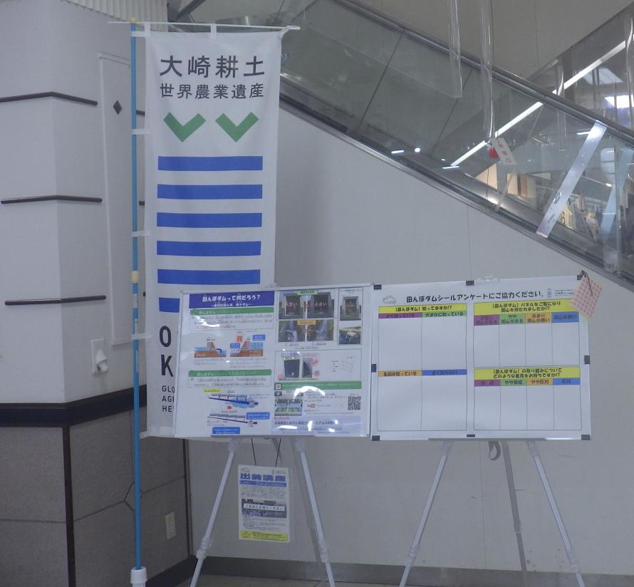 展示