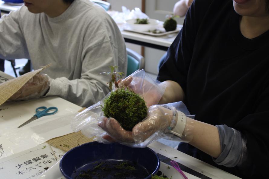 苔玉